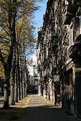 IMG_9464