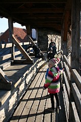 IMG_9616
