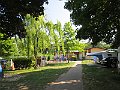 IMG_2071