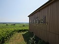 IMG_2119