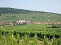 IMG_2121