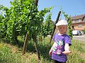 IMG_2125