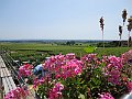 IMG_2130