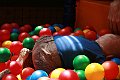IMG_2204