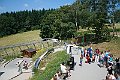 IMG_2235