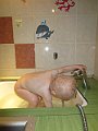 IMG_1867