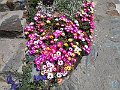 IMG_1934