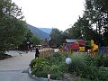 IMG_1895