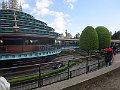 IMG_6042