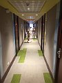 IMG_1662