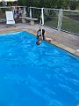IMG_2287