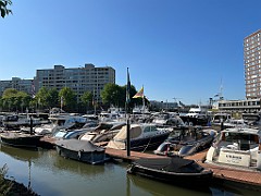 IMG_1480