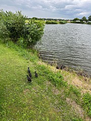 IMG_2315