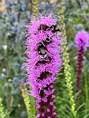 IMG_2566
