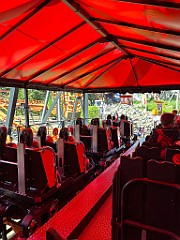 IMG_2596