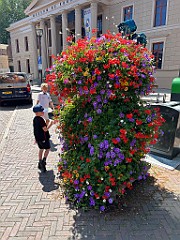 IMG_2726