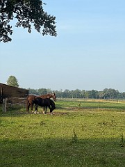 IMG_2791
