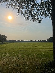 IMG_2797