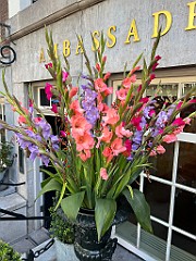 IMG_2843
