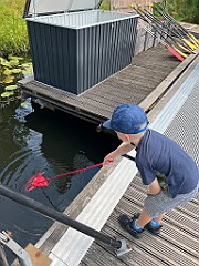 IMG_2941