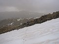 IMG_0505