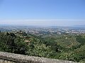 294_9416
