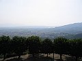 295_9578