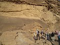 IMG_4965