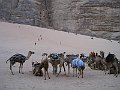IMG_5041
