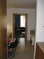 IMG_5311