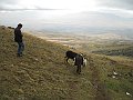 IMG_1962
