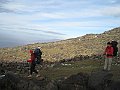 IMG_2025