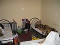 IMG_2100