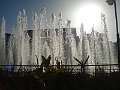 IMG_2308