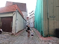 IMG_2914
