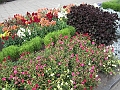 IMG_3014