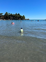 IMG_3959