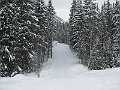 IMG_0661