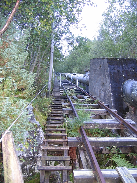 310_1004.JPG