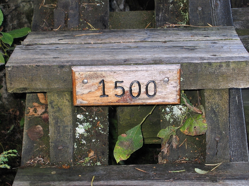 310_1009.JPG