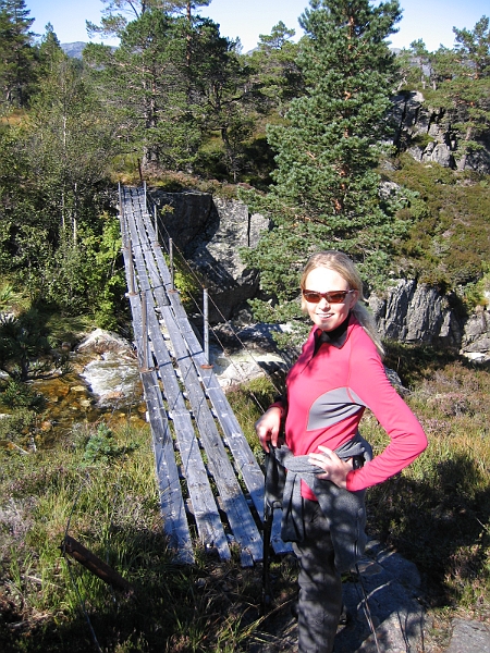 310_1058.JPG
