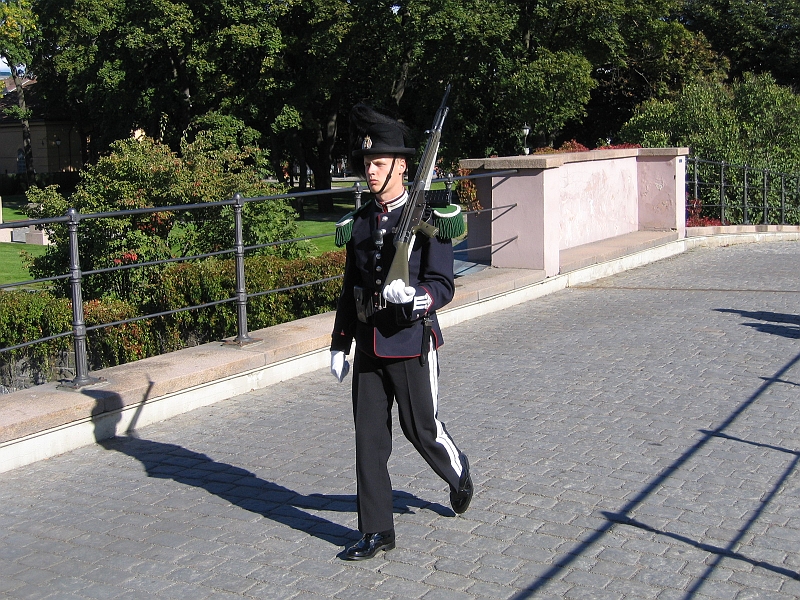 312_1206.JPG