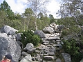 306_0674