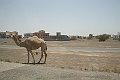 IMG_3682