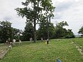 IMG_7343