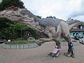 IMG_7442
