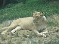 IMG_7467