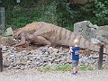 IMG_7509