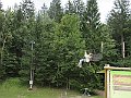 IMG_2311