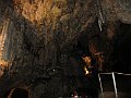 IMG_2400